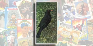 1954 Brooke bond british birds trading card checklist