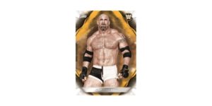 2019 Topps WWE Undisputed