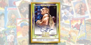2020 Topps WWE Transcendent wrestling card checklist